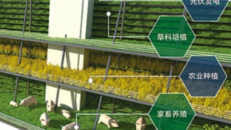 农资批发品牌定制服务：如何打造专属农场解决方案