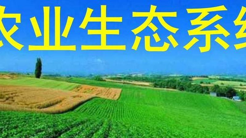农业大数据平台：如何选择最适合您的解决方案