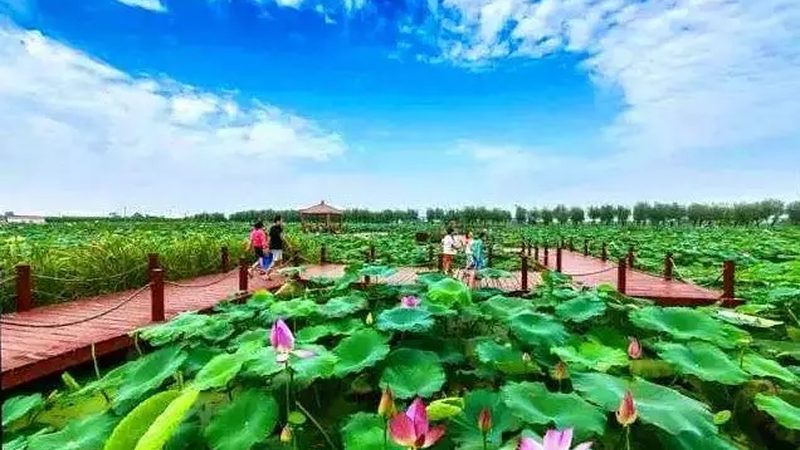 农民专业合作社注销银行账户费用解析