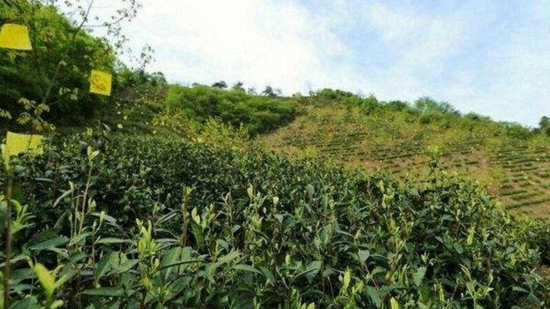 农产品配送物流费用主要包括以下几个方面：