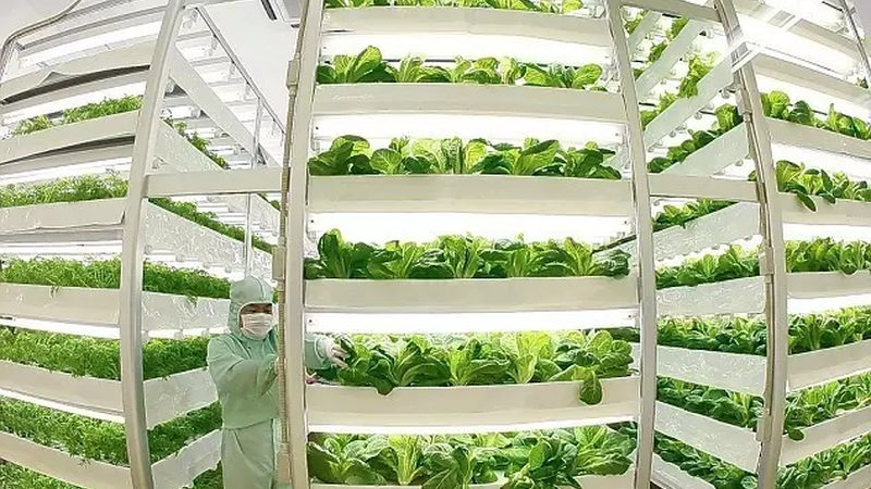 线上农业种植技术培训平台：如何选择合适的学习伙伴**