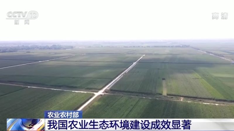 揭秘绿色食品公司排名背后的考量因素