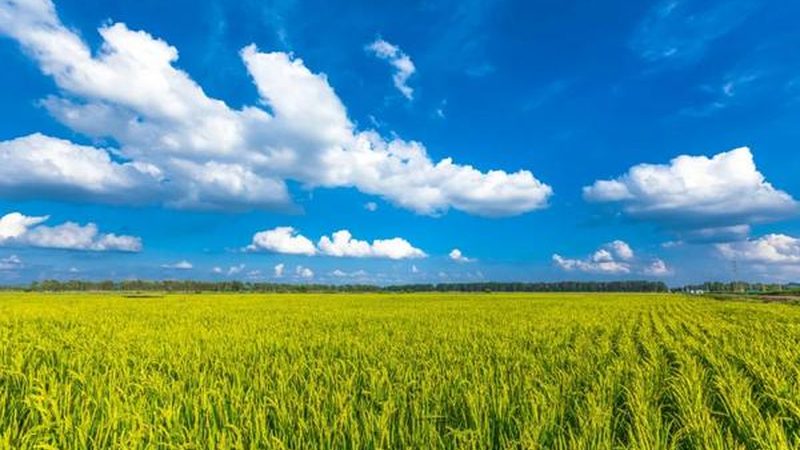 行业背景：从“最后一公里”到“最后一百米