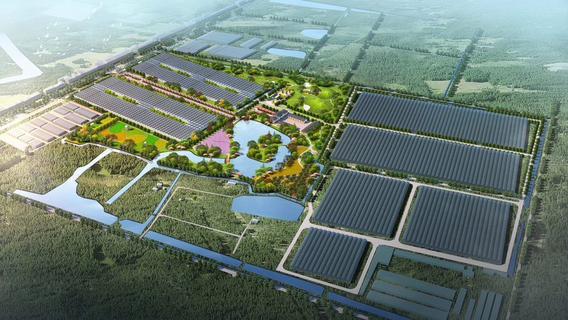 农资批发市场进货物流难题解析