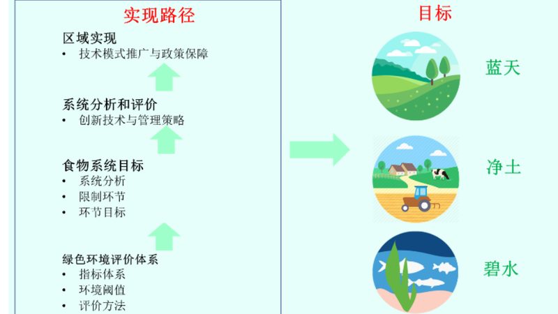 北京有机蔬菜宅配套餐：绿色生活，从餐桌开始