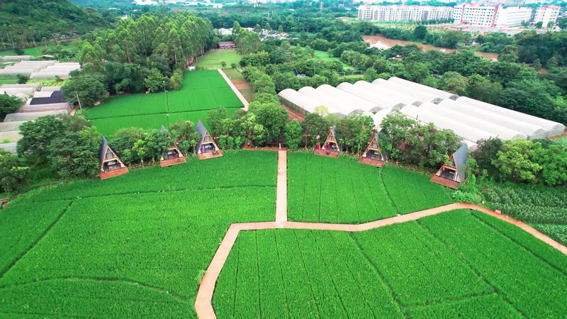 玉米种植深加工项目：设备选型的关键考量**