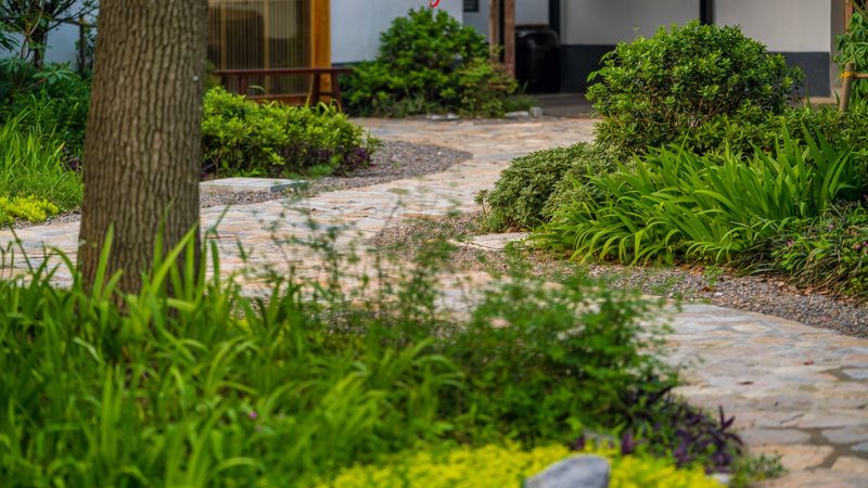 水果种植合作社年收入计算：关键步骤与注意事项