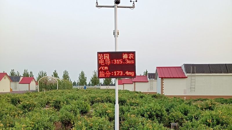 休闲农业品牌策划书哪家好