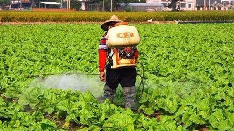 生鲜配送代运营加盟：揭秘成功之路