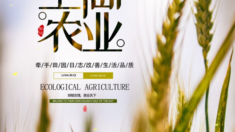 智慧农业VS传统农业：农业现代化的未来之路